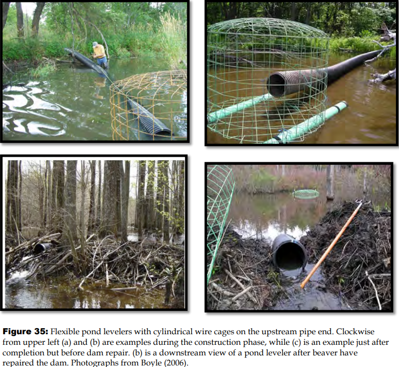 Purkuputken käyttöönotto estää vedenpinnan nousun yli kriittisen rajan. The Beaver Restoration Guide Book.